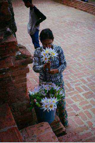 Materialen en bloemen