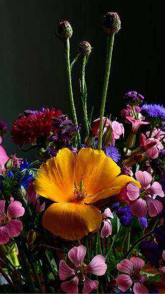 Lente arrangement